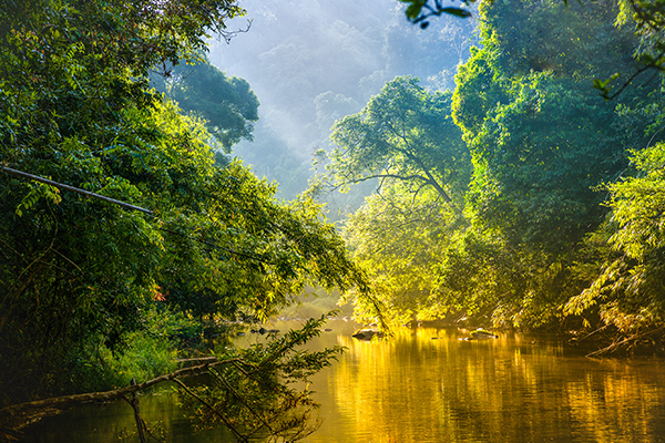 Privatrundreise Costa Rica Regenwald deutschsprachiger Guide