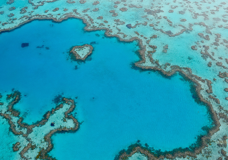 Australien Whitsunday Island Heart Reef Rundflug Höhepunkte Schnorcheln 