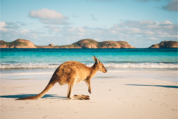 Australien Südwesten Reisevorschlag Küste Wälder