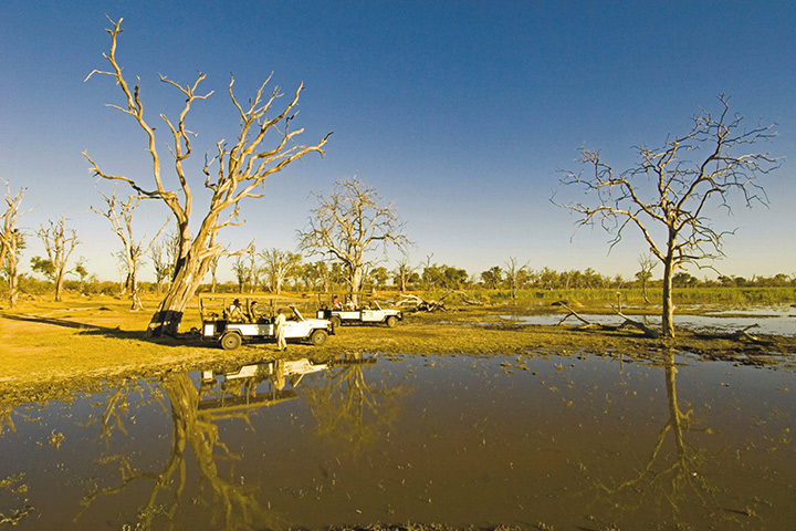 Botswana Flugsafari Okavango Delta Savuti Chobe Wildreservat
