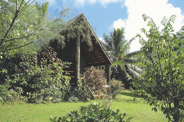 Cook Islands kleine Pension Natur pur weisse Strände