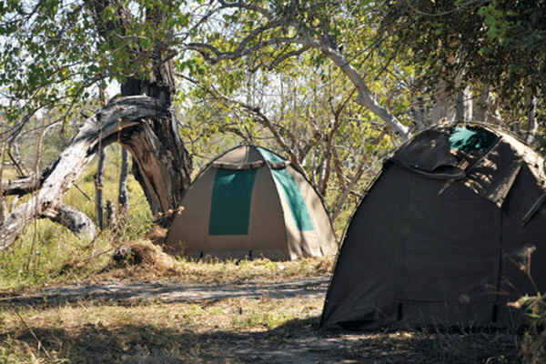 Zimbabwe Camping Safari Höhepunkte Abenteuer Tierreich Erlebnisse