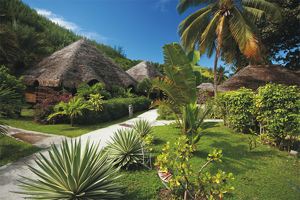 Französisch Polynesien Resort Huahine Schnorcheln Lagune
