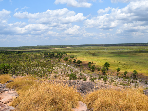 Nadab-Lookout-1_web.jpg