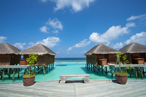 Vakarufalhi Island Resort Malediven Tauchen Südari Atoll
