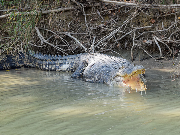 East-Alligator-River-3_web.jpg