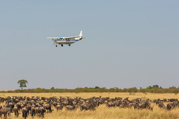 Tanzania Flugsafari Kilimanjaro Flughafen Kleinflugzeug Nationalparks 