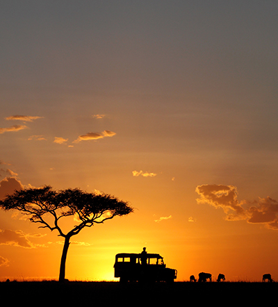 Tanzania Angebot Safari Serengeti Ngorongoro Krater