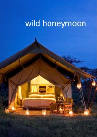wild honeymoon